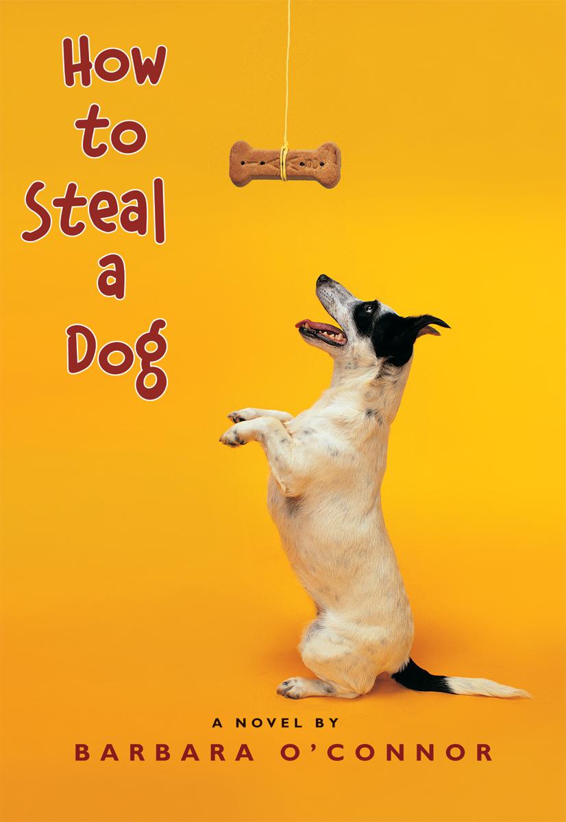 How to Steal a Dog 