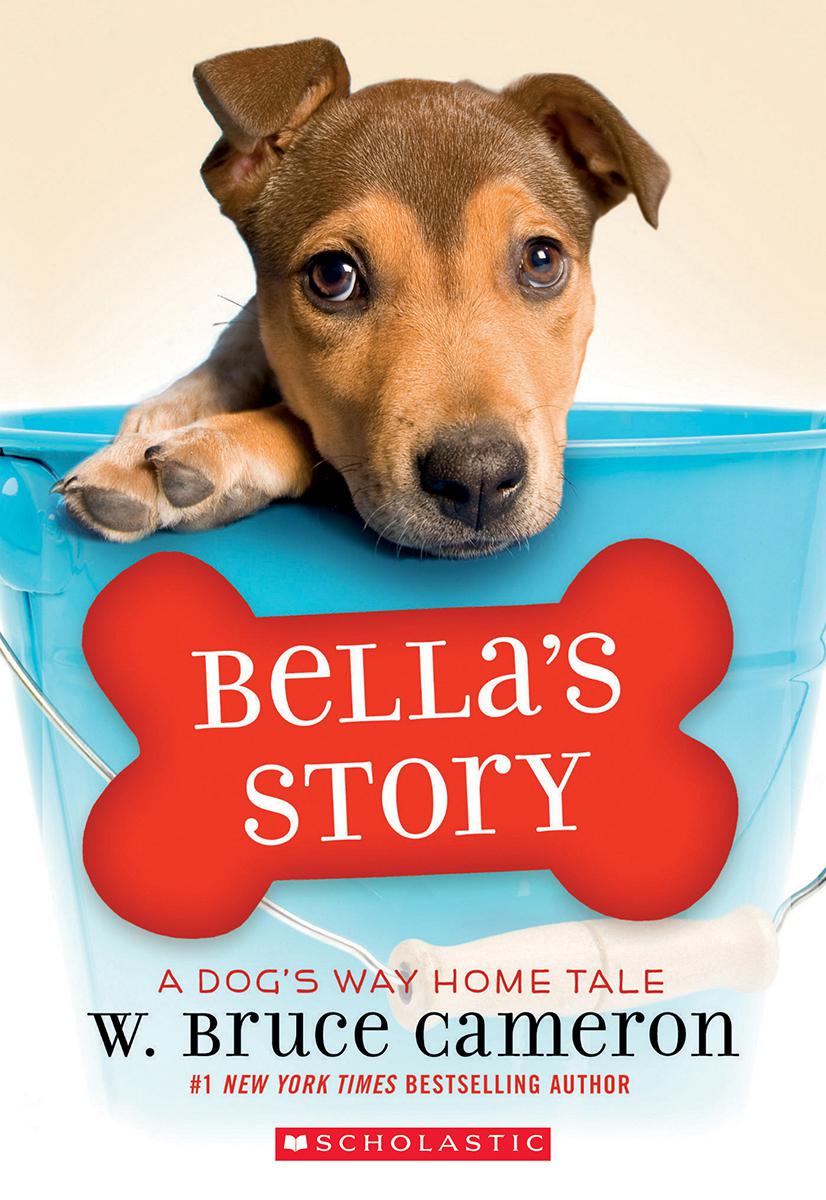  Bella's Story: A Dog's Way Home Tale 