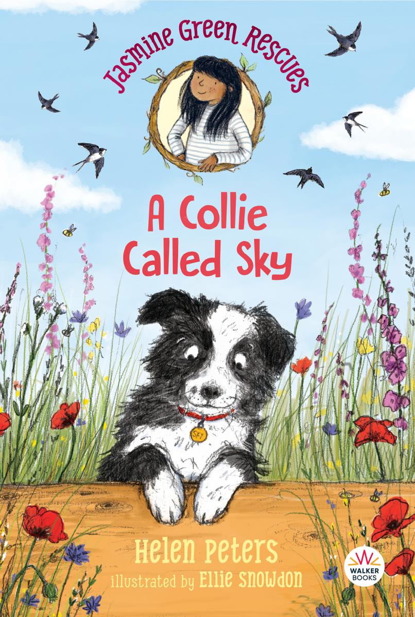 Jasmine Green Rescues: A Collie Named Sky 
