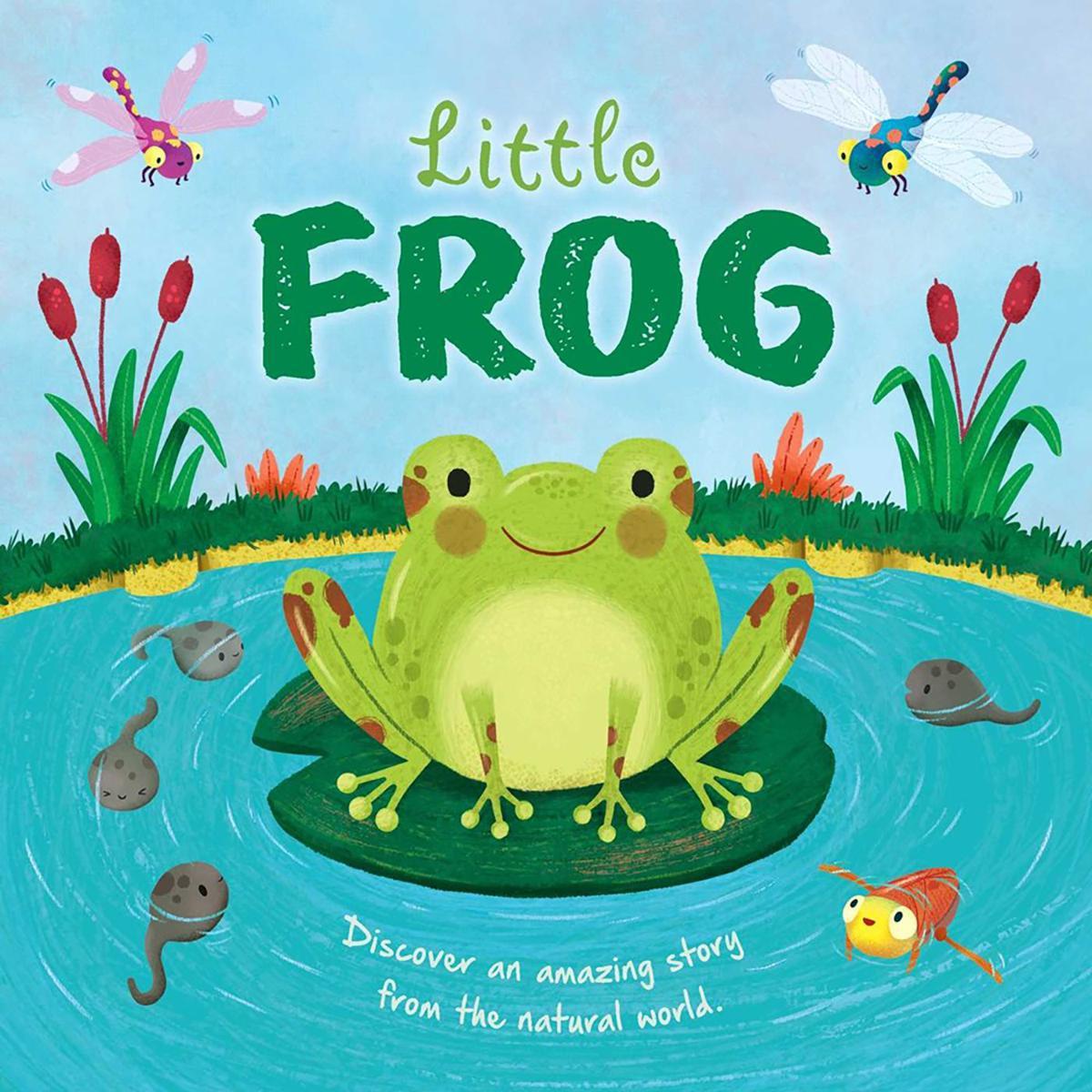  Little Frog 