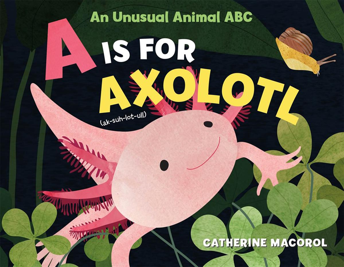  A is for Axolotl: An Unusual Animal ABC 