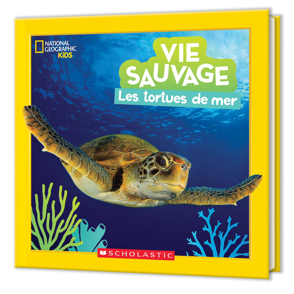  National Geographic Kids : Vie sauvage : Les tortues de mer 