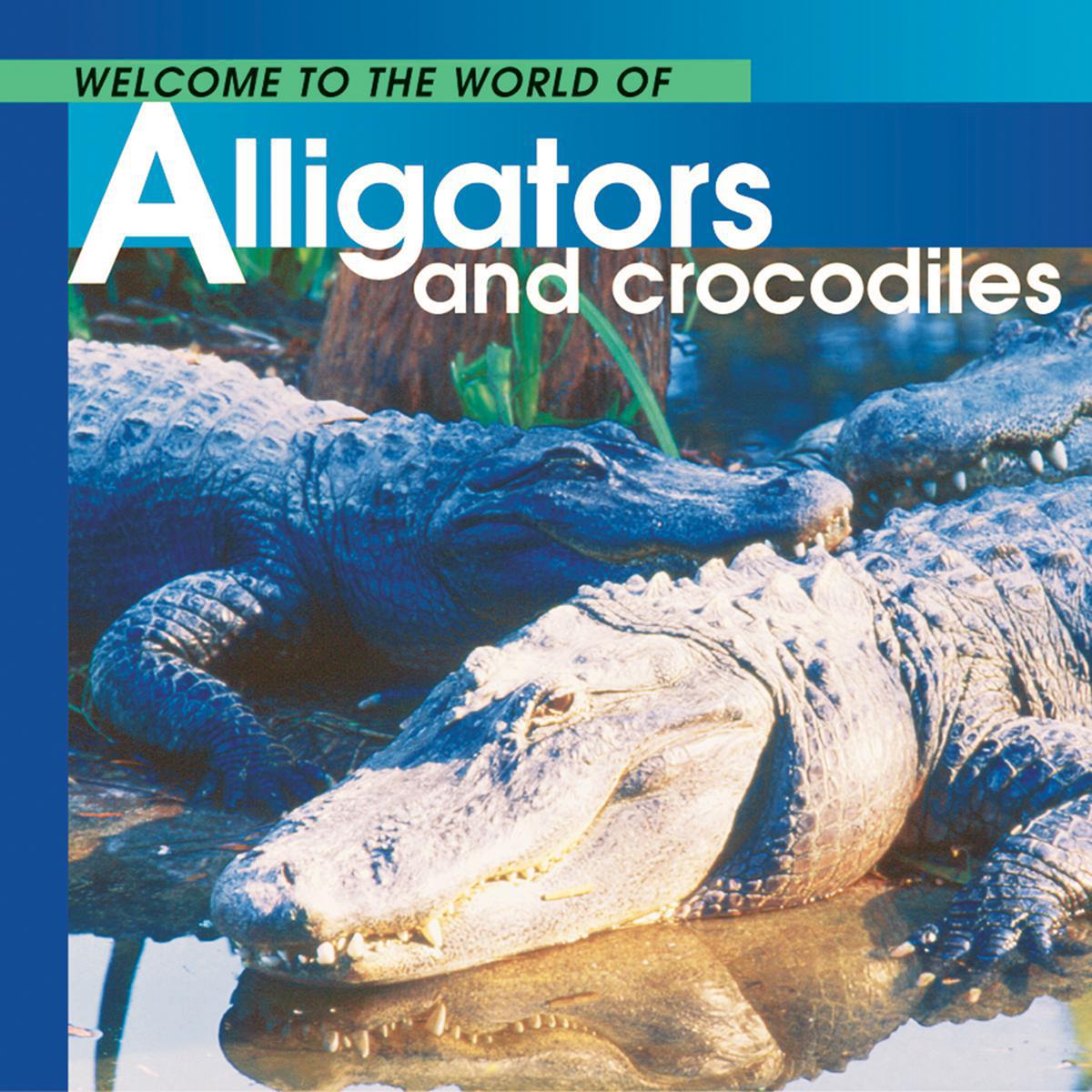  Welcome to the World of Alligators and Crocodiles 