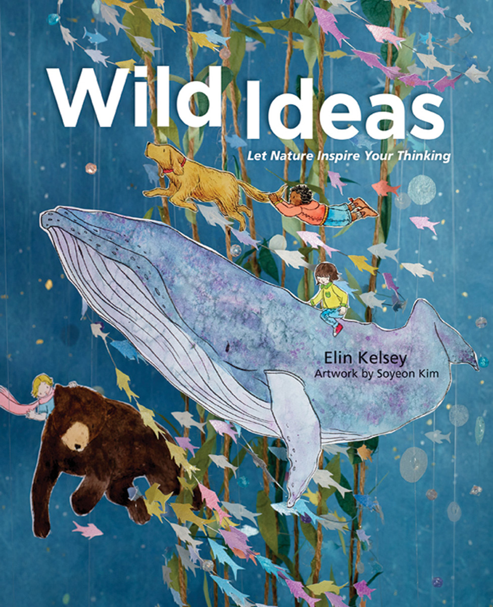  Wild Ideas 