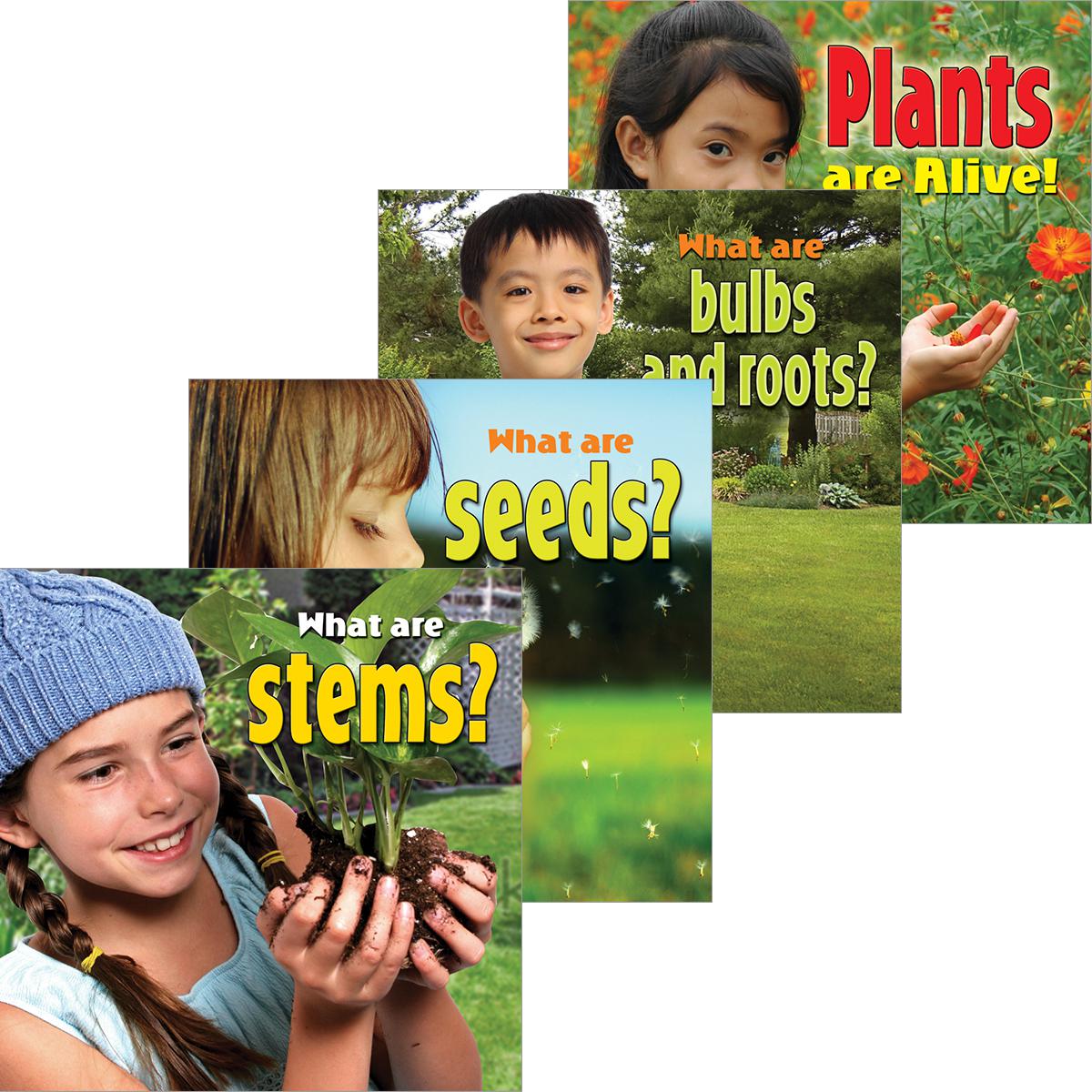  Plants Close-Up 4-Pack 
