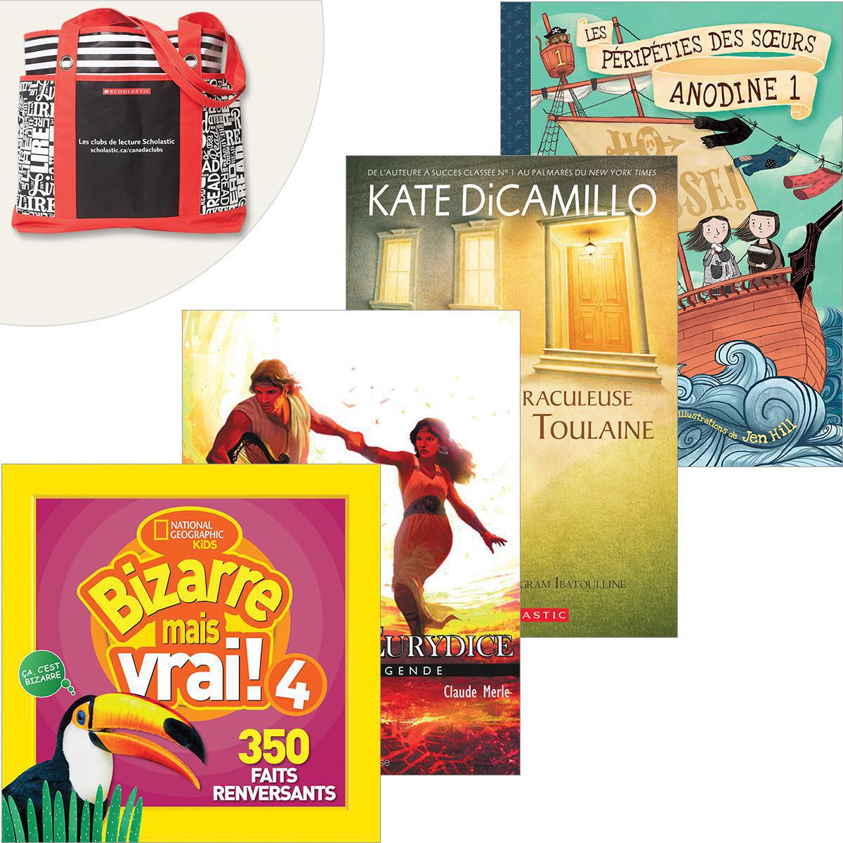  Bibliothèque de classe 5e année et plus 
